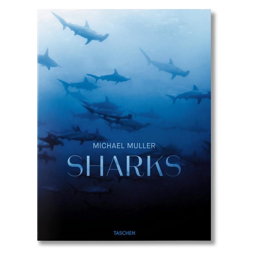 Book - Sharks - by Michael Muller - Illustrated